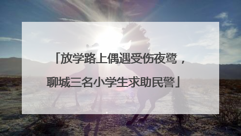 放学路上偶遇受伤夜鹭，聊城三名小学生求助民警