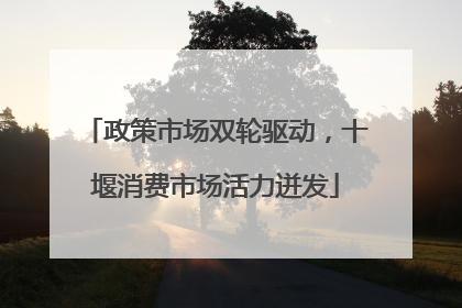 政策市场双轮驱动，十堰消费市场活力迸发