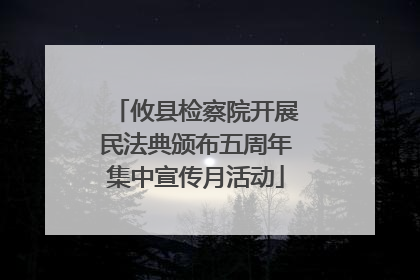 攸县检察院开展民法典颁布五周年集中宣传月活动