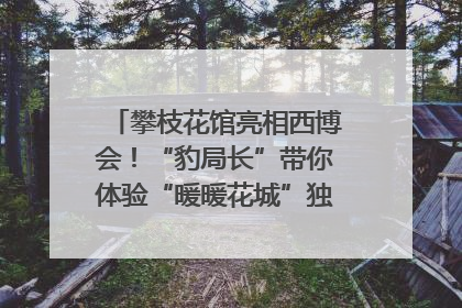 攀枝花馆亮相西博会！“豹局长”带你体验“暖暖花城”独特魅力｜西博视界