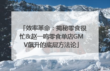 效率革命：揭秘零食很忙&赵一鸣零食单店GMV飙升的底层方法论