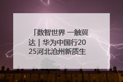数智世界 一触冀达｜华为中国行2025河北沧州新质生产力峰会成功举办
