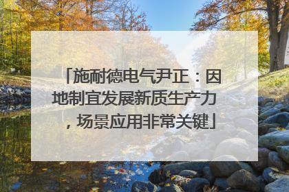 施耐德电气尹正：因地制宜发展新质生产力，场景应用非常关键