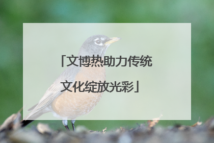 文博热助力传统文化绽放光彩