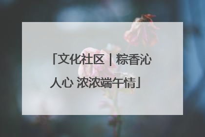 文化社区｜粽香沁人心 浓浓端午情