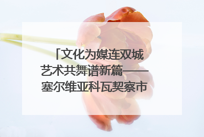 文化为媒连双城 艺术共舞谱新篇——塞尔维亚科瓦契察市代表团访问日照
