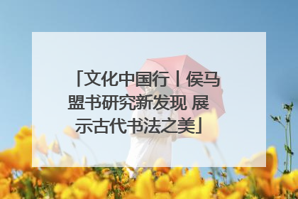 文化中国行丨侯马盟书研究新发现 展示古代书法之美