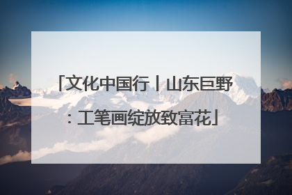 文化中国行丨山东巨野：工笔画绽放致富花