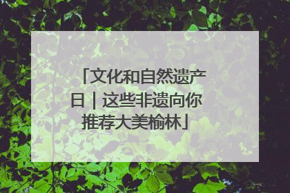 文化和自然遗产日｜这些非遗向你推荐大美榆林