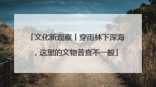 文化新观察丨穿雨林下深海，这里的文物普查不一般