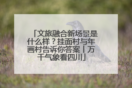 文旅融合新场景是什么样？挂面村与年画村告诉你答案丨万千气象看四川