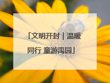 文明开封｜温暖同行 童游禹园