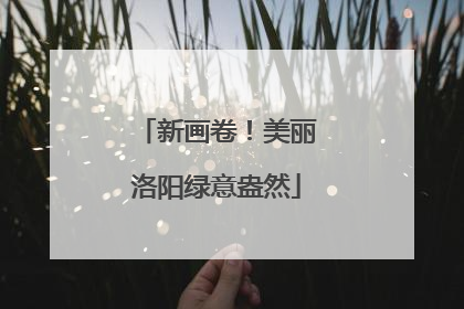 新画卷！美丽洛阳绿意盎然