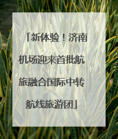 新体验！济南机场迎来首批航旅融合国际中转航线旅游团
