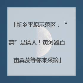 新乡平原示范区：“葚”是诱人！黄河滩百亩桑葚等你来采摘