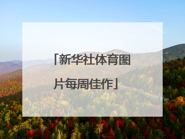 新华社体育图片每周佳作