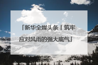 新华全媒头条丨筑牢应对风雨的强大底气