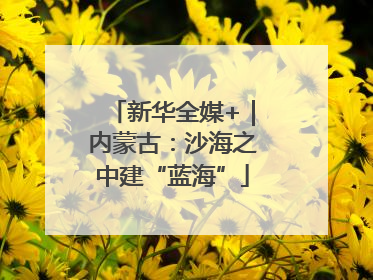 新华全媒+｜内蒙古：沙海之中建“蓝海”