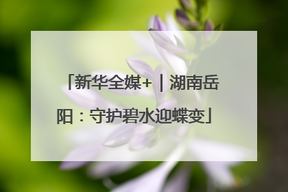 新华全媒+｜湖南岳阳：守护碧水迎蝶变