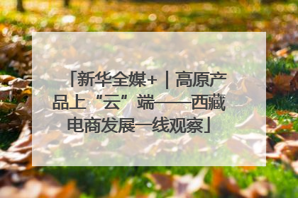 新华全媒+｜高原产品上“云”端——西藏电商发展一线观察