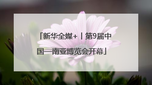 新华全媒+丨第9届中国—南亚博览会开幕
