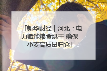新华财经｜河北：电力赋能粮食烘干 确保小麦高质量归仓