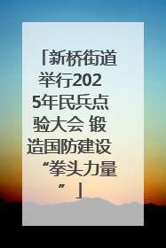 新桥街道举行2025年民兵点验大会 锻造国防建设“拳头力量”