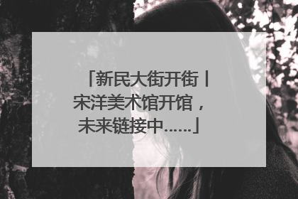 新民大街开街丨宋洋美术馆开馆，未来链接中……