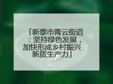 新泰市青云街道：坚持绿色发展，加快形成乡村振兴新质生产力
