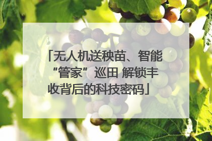无人机送秧苗、智能“管家”巡田 解锁丰收背后的科技密码