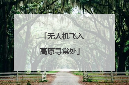 无人机飞入高原寻常处