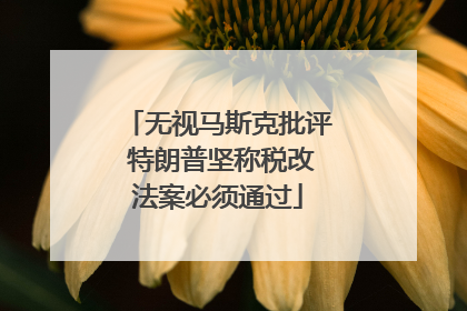 无视马斯克批评 特朗普坚称税改法案必须通过
