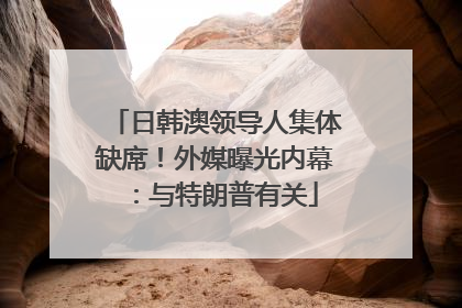日韩澳领导人集体缺席！外媒曝光内幕：与特朗普有关