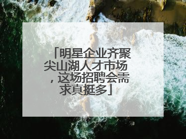 明星企业齐聚尖山湖人才市场，这场招聘会需求真挺多