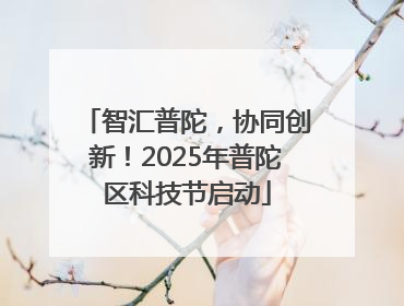 智汇普陀，协同创新！2025年普陀区科技节启动