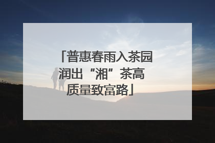 普惠春雨入茶园 润出“湘”茶高质量致富路