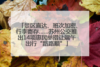景区直达、班次加密、行李寄存……苏州公交推出14项惠民举措让端午出行“路路顺”