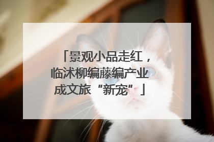景观小品走红，临沭柳编藤编产业成文旅“新宠”