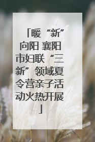 暖“新”向阳 襄阳市妇联“三新”领域夏令营亲子活动火热开展