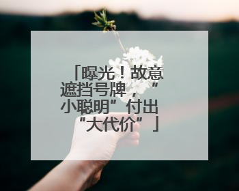 曝光！故意遮挡号牌，“小聪明”付出“大代价”