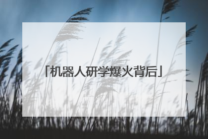 机器人研学爆火背后