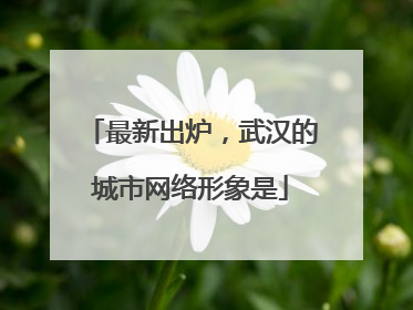 最新出炉，武汉的城市网络形象是