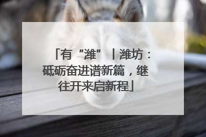 有“潍”丨潍坊：砥砺奋进谱新篇，继往开来启新程