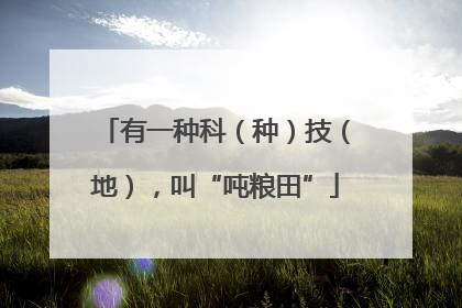 有一种科（种）技（地），叫“吨粮田”