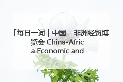 每日一词｜中国—非洲经贸博览会 China-Africa Economic and Trade Expo