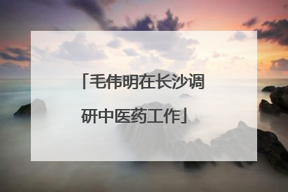 毛伟明在长沙调研中医药工作