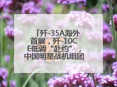 歼-35A海外首展，歼-10CE低调“赴约”，中国明星战机组团亮相巴黎航展