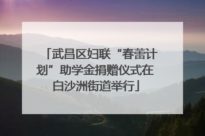 武昌区妇联“春蕾计划”助学金捐赠仪式在白沙洲街道举行