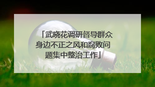 武晓花调研督导群众身边不正之风和腐败问题集中整治工作