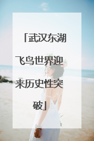 武汉东湖飞鸟世界迎来历史性突破